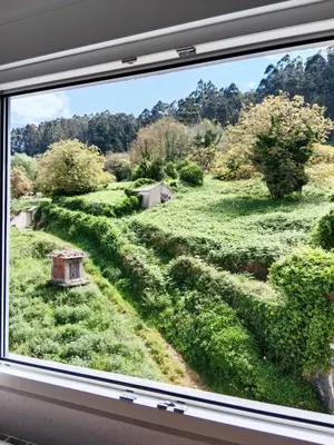 a window view of a field of bushes at Atico en La Ría in Vivero