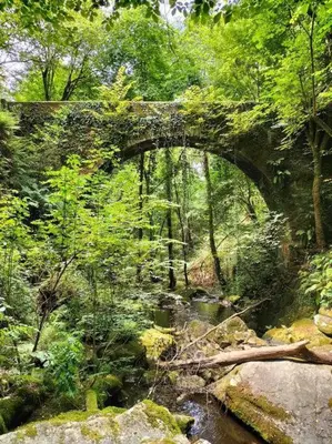 an old stone bridge over a stream in a forest at O Cerrulo Apartamento céntrico Pontedeume in Puentedeume