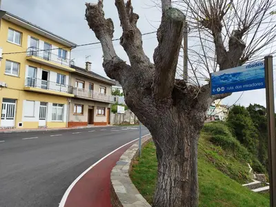 a tree sitting on the side of a street at BALCON DEL EO in Ribadeo