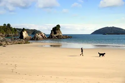 a man and a dog walking on a beach at Apt. p/4 en la Playa de Viveiro in Viveiro