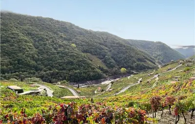 a view of a hillside with flowers on it at 1 Bedroom Stunning Home In Galicia in Belesar