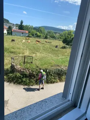 a person looking out a window at a field with cows at Casa Roque in Monforte de Lemos