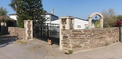 a dog standing next to a stone fence at ANAMAR in Lugo