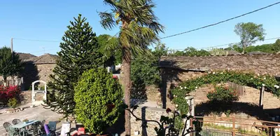a palm tree next to a stone building with an arch at ANAMAR in Lugo