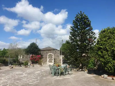 a christmas tree in a yard with a table and chairs at ANAMAR in Lugo