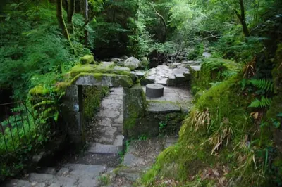 a stone path in a forest with a fence at Adiva Praia Miño in Miño