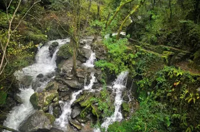 a waterfall in the middle of a forest at Adiva Praia Miño in Miño
