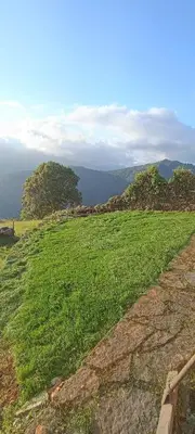 a field of green grass on top of a hill at Apartamentos Rurales San Esteban de los Buitres - Illano in San Esteban
