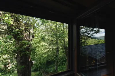 a window with a view of a tree at CASA TRISQUEL in Hospital