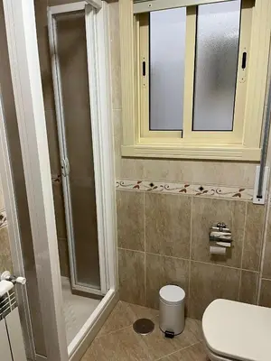 a bathroom with a shower and a toilet and a window at Apartamento Marichu in Melide