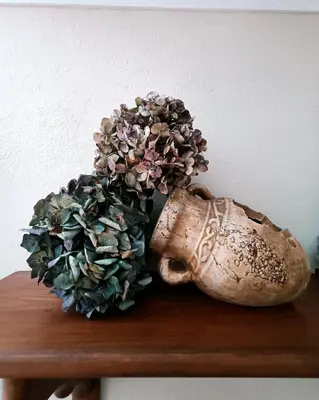a vase with a plant in it sitting on a shelf at Casa Choureiro Apartamentos Rurales in Navia