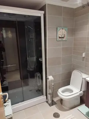 a bathroom with a toilet and a shower at COSTA REINANTE SPA Y PISCINA in San Miguel de Reinante