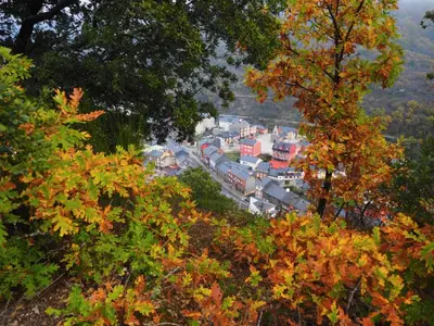 a view of a town in the middle of trees at Vivienda de Uso Turístico ABELLA in Matarrosa del Sil