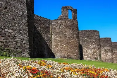 a bunch of flowers in front of a castle at Apartamento Lugo Centro in Lugo