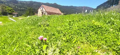 a field of grass with a house in the background at Casa A mi Vera in Covelo