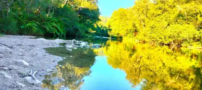 a river with trees reflecting in the water at Casa A mi Vera in Covelo