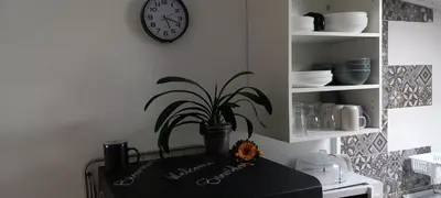 a plant on a table with a clock on a wall at Casa da Eiriña in Amés