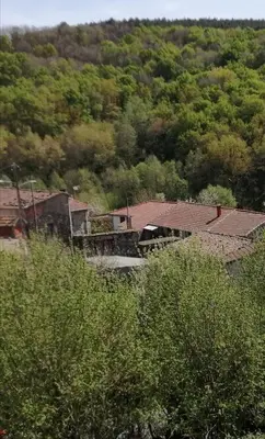 a group of houses in the middle of a forest at A CASA DOS AVÓS in Celanova