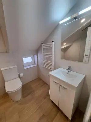 a small bathroom with a toilet and a sink at Catedral y Muralla a 50 metros - VUT-LU-02907 in Lugo
