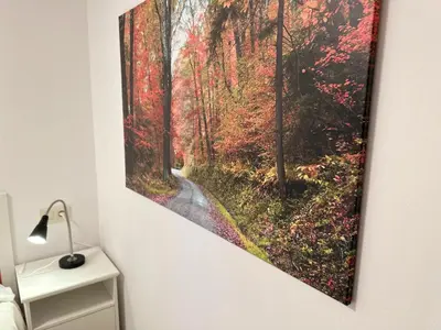 a painting of a path in a forest on a wall at Porta da Vila by Oktheway in Puentedeume