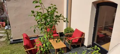 a patio with chairs and a table and a tree at HOSTEL NAMOR in Ribadeo