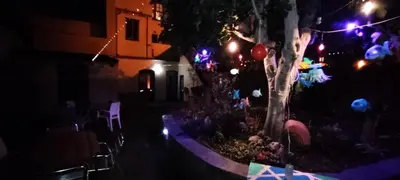 a yard with christmas lights and a tree at night at HOSTEL NAMOR in Ribadeo