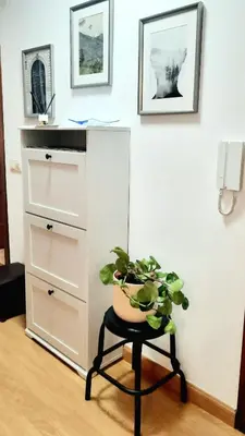 a plant sitting on a stool next to a dresser at Apartamento Obao in Ribadeo
