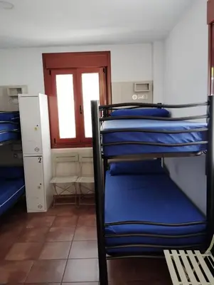 a bunk bed room with blue bunk beds and a window at Albergue Miraiso in Arzúa