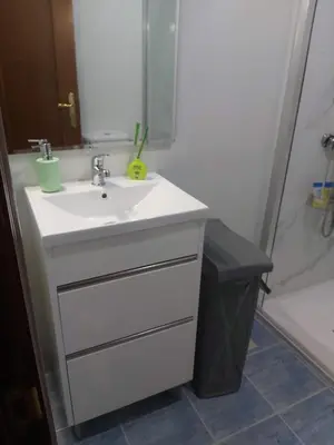 a bathroom with a white sink and a shower at Piso Alameda Carballiño in Carballino