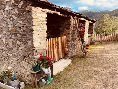 a stone building with flowers and a wooden door at Casa Neto Goje in San Tirso de Abres