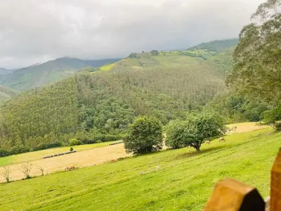 a green field with trees and mountains in the background at Casa Neto Goje in San Tirso de Abres