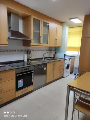a kitchen with a stove and a sink and a dishwasher at Precioso apartamento, Pontedeume in Puentedeume