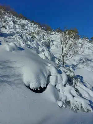 a pile of snow on a hill with a tree at VUT Corea324 in Caboalles de Abajo