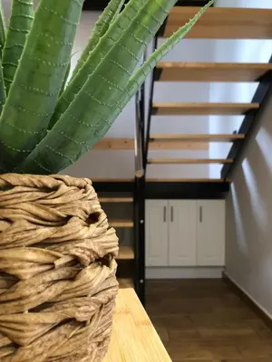 a plant sitting on a table next to a staircase at Apartamentos El Arroyo in Armal