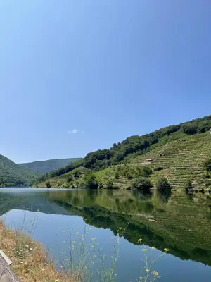 a view of a lake with hills in the background at Casa Aturuxo in Belesar