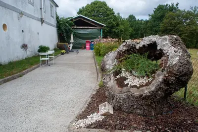a sculpture of a tree stump with a plant at Casa Rural Fidalgo in Chantada