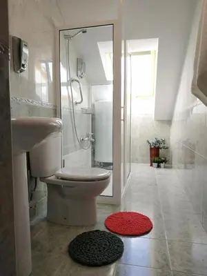 a bathroom with a toilet and a shower and a sink at HHC - Duplex Concheiros, 4 bedrooms, 3 bathroom, a 700m de la Catedral in Santiago de Compostela