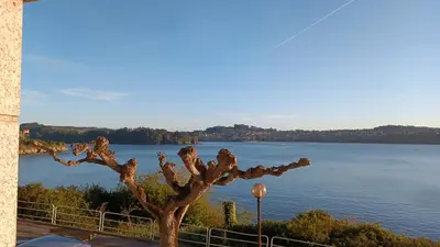 a tree sitting next to a body of water at SALSEIRAZO - PLAYA A RIBEIRA MIÑO in Miño