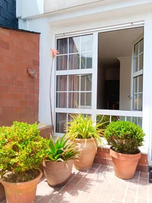 a group of potted plants sitting in front of a window at Sobre la Ría 2 in Viveiro