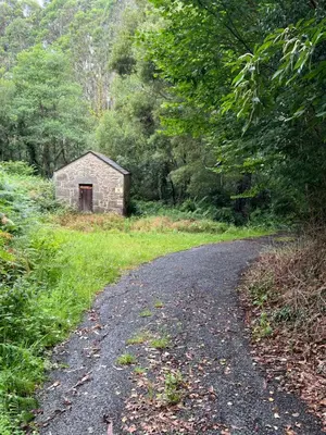 a gravel road with a small building on the side of a forest at Vagalume in Cervo