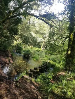 a group of benches sitting in the middle of a river at Casa da Rapadoira in Laxoso de Abaixo