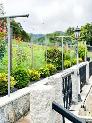 a stone wall with a street light and flowers at Casa Arturo in Tríacastela