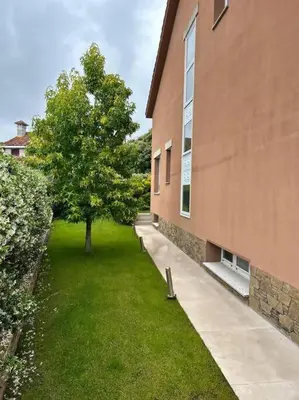 a building with a tree in the grass next to a building at Excepcional chalet en Perbes. in Miño