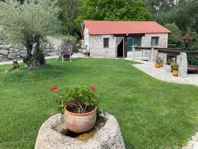 a garden with a pot of flowers in a yard at Da man da Moura in Ourense