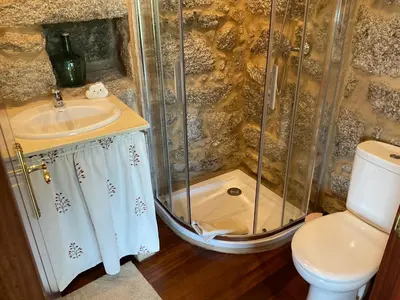 a bathroom with a shower and a sink and a toilet at Da man da Moura in Ourense