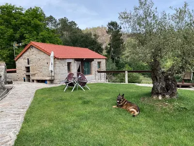 a dog laying in the grass in front of a house at Da man da Moura in Ourense
