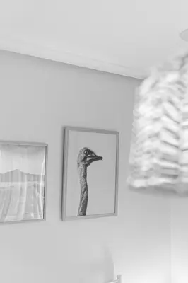 two framed pictures of a bird on a wall at Pensión O Camiño in Sarria