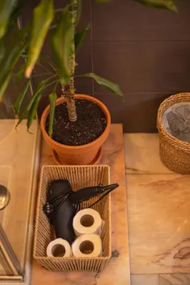 a table with a plant and a blackumption at Pensión O Camiño in Sarria