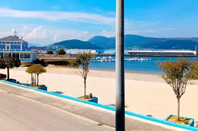 a beach with trees in the sand next to the water at La casa de Concha in Viveiro