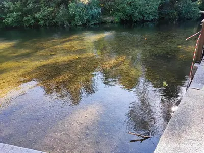 a river with a reflection of trees in the water at Mondariz Donde el Agua es Vida in Mondariz